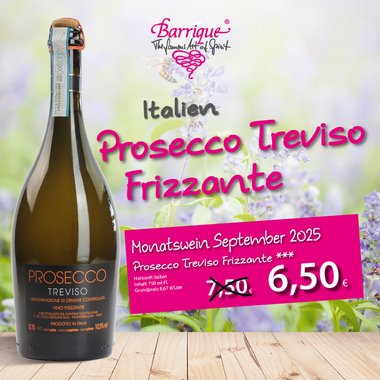 Prosecco Treviso Frizzante - Monatswein